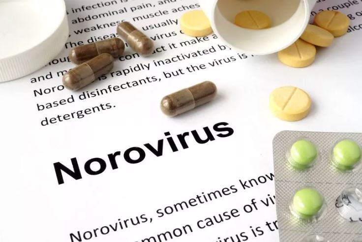 WalesOnline's tweet photo. A norovirus alert has been issued as cases soar with infected people told to stay at home  - https://t.co/mFS16JCfgS https://t.co/7vKhMz2QmO