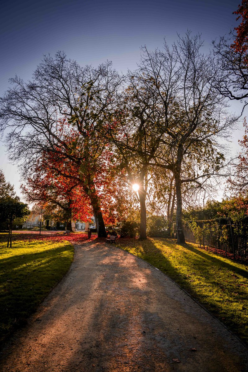 LoMarzin's tweet photo. 🍂 Explosion de couleurs automnales au parc Jean Rameau, #montdemarsan ! Venez vous y promener et partagez votre plus beau cliché 🍁📸  #automne #landes @NikonFR https://t.co/AVTMa6aTZH
