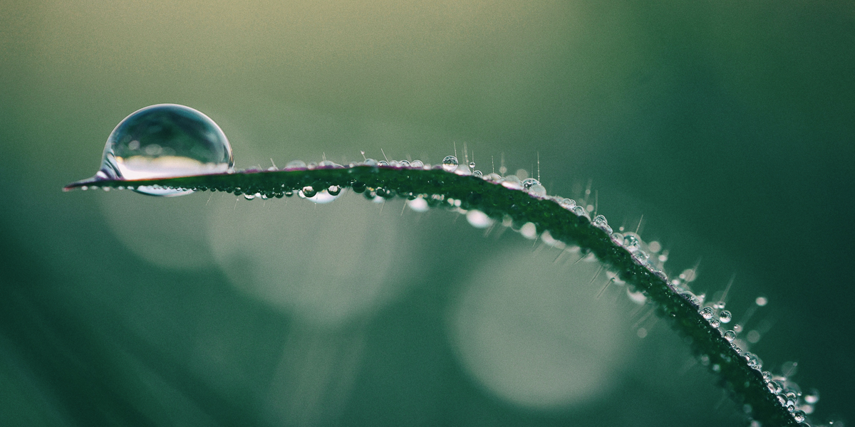 "Loving is not always easy, but like with muscles, we get stronger both with repetition and as the burden gets heavier. And it works." 

Go deeper into this love with the book "Love Is the Way" by Michael Curry in today's meditation. #DailyMeditations tinyurl.com/mjfp2uc8