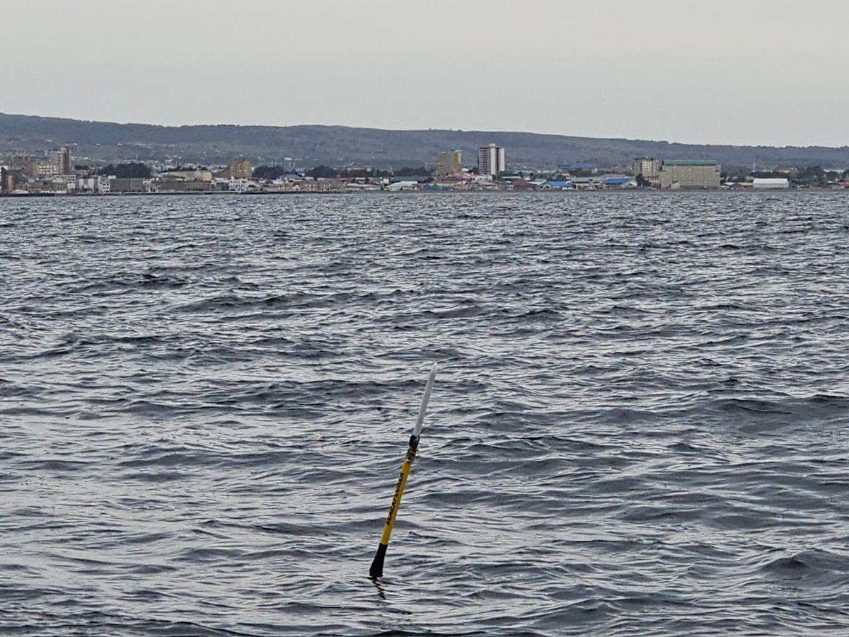 Francisco Santa Cruz tweet media