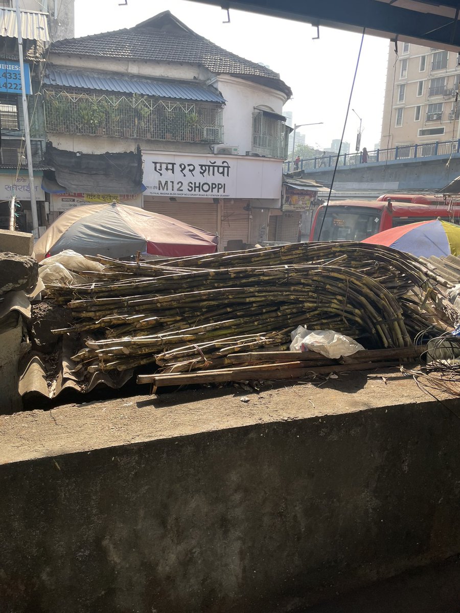Shruti51186753's tweet photo. Shame to say that we live in South (Bombay) Mumbai. Outside grant road platform no 4. 
@MCGM_BMC @mieknathshinde @CMOMaharashtra @mybmc https://t.co/eekKCXfNXo