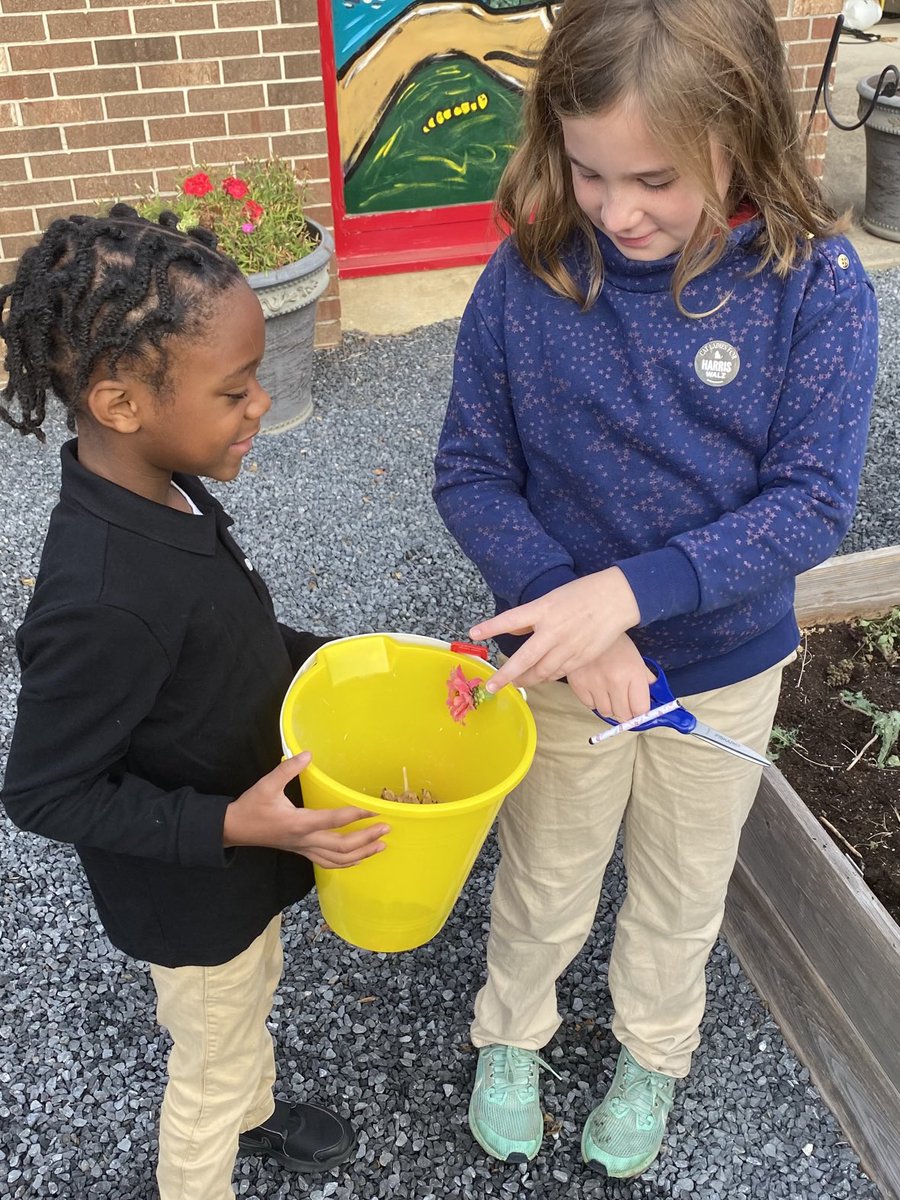 Nurse Reardon (@nursereardon) on Twitter photo A little early morning visit to the #PrimaryPatch to get us ready for spring and save some seeds! #teamwork <a href="/rbpsEAGLES/">Red Bank Primary</a> <a href="/DreamBigRB/">Luigi Laugelli</a> <a href="/RedBankSup/">Dr. Jared Rumage</a> <a href="/rbbef/">Red Bank Borough Education Foundation</a> 🌻🌻🌸🌺 A little early morning visit to the #PrimaryPatch to get us ready for spring and save some seeds! #teamwork <a href="/rbpsEAGLES/">Red Bank Primary</a> <a href="/DreamBigRB/">Luigi Laugelli</a> <a href="/RedBankSup/">Dr. Jared Rumage</a> <a href="/rbbef/">Red Bank Borough Education Foundation</a> 🌻🌻🌸🌺
