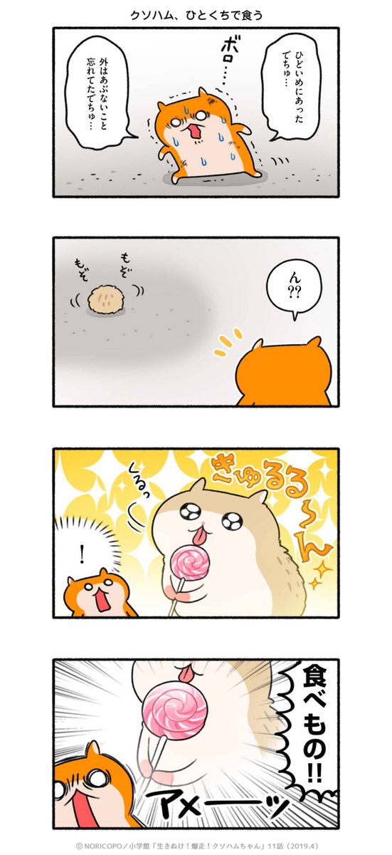 第11話「コビハムちゃん」3/5
#クソハムちゃん #コビハムちゃん 