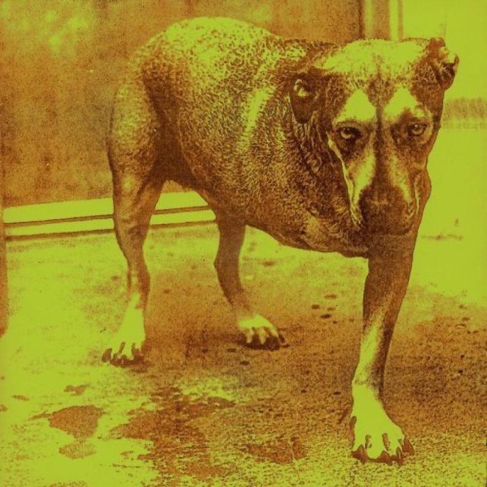 On this day in 1995, Alice in Chains released their self-titled third full length album.