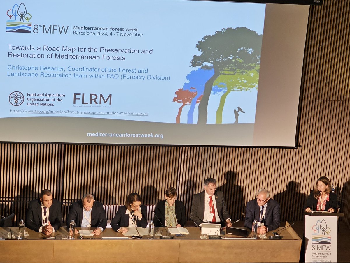 leila rossa mouawad (@lrmouawad) on Twitter photo To conclude #8MFW <a href="/CBesacier18/">Christophe Besacier</a> presents an ambitious, enhanced & innovative approach based on science and #NBS for the preservation & restoration of #Mediterranean forests To conclude #8MFW <a href="/CBesacier18/">Christophe Besacier</a> presents an ambitious, enhanced & innovative approach based on science and #NBS for the preservation & restoration of #Mediterranean forests