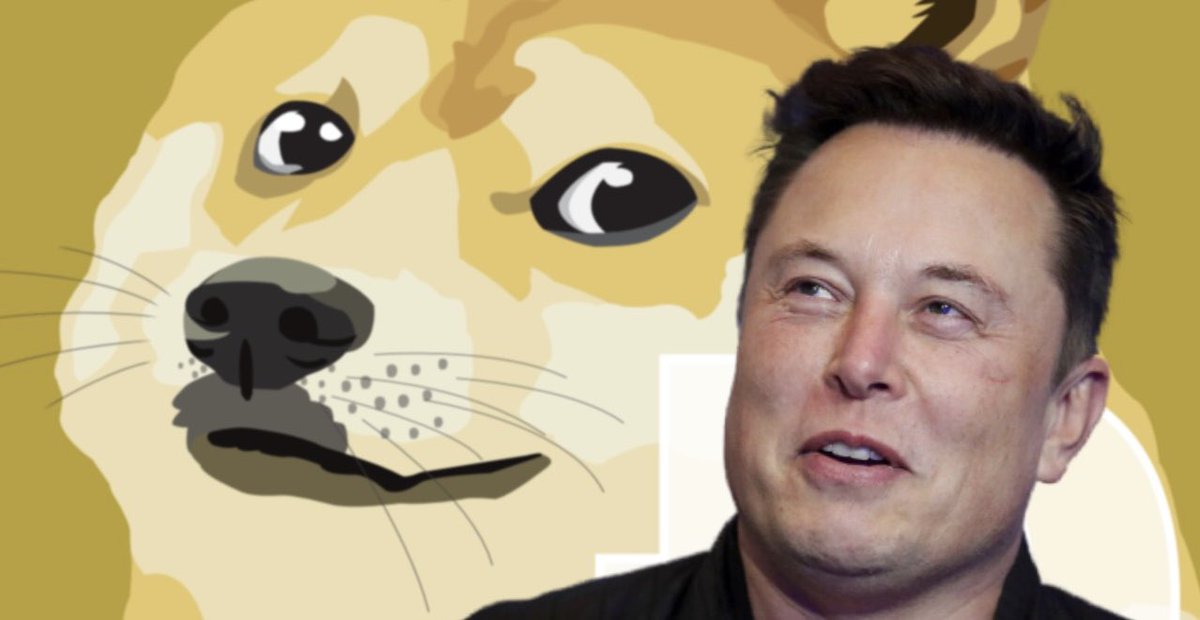 cryptodailyTS's tweet photo. We Love ❤️ It ! That Elon Musk Supports The Doge Community!! $Doge @elonmusk #supportdoge https://t.co/33sJm42TPd