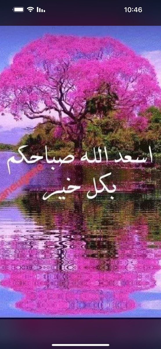 sadiqAlhalwachi's tweet photo. هل يُعقل فعلاً أن الكثير لازال يعتقد بجدوى كل هذه الرسائل المزعجة يوميًا؟ وهل فعلاً يظن أن أحدًا يقرأها؟ هذه ليست وسيلة للتواصل، ولا للتهنئة أو السلام،ولا تُقابل إلا بالتجاهل، ولو كان من بينها أمرًا مهمًا فلن يلتفت لها المتلقي بسبب كثرتها طيلة اليوم! https://t.co/kWTzhJGsyJ