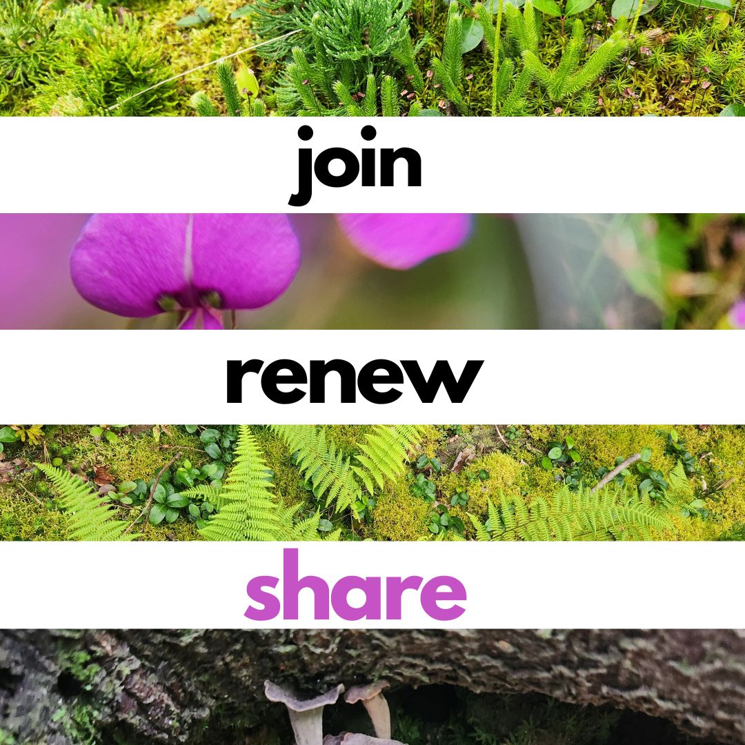 NewEngBotanical's tweet photo. The contributions of our members allow our non-profit to continue its mission and there are great perks as well! Please consider joining, renewing, or sharing with a friend today! All the details for an easy join/renew can be found here: https://t.co/sNKz0j3iKO https://t.co/BFXlPFmHCH