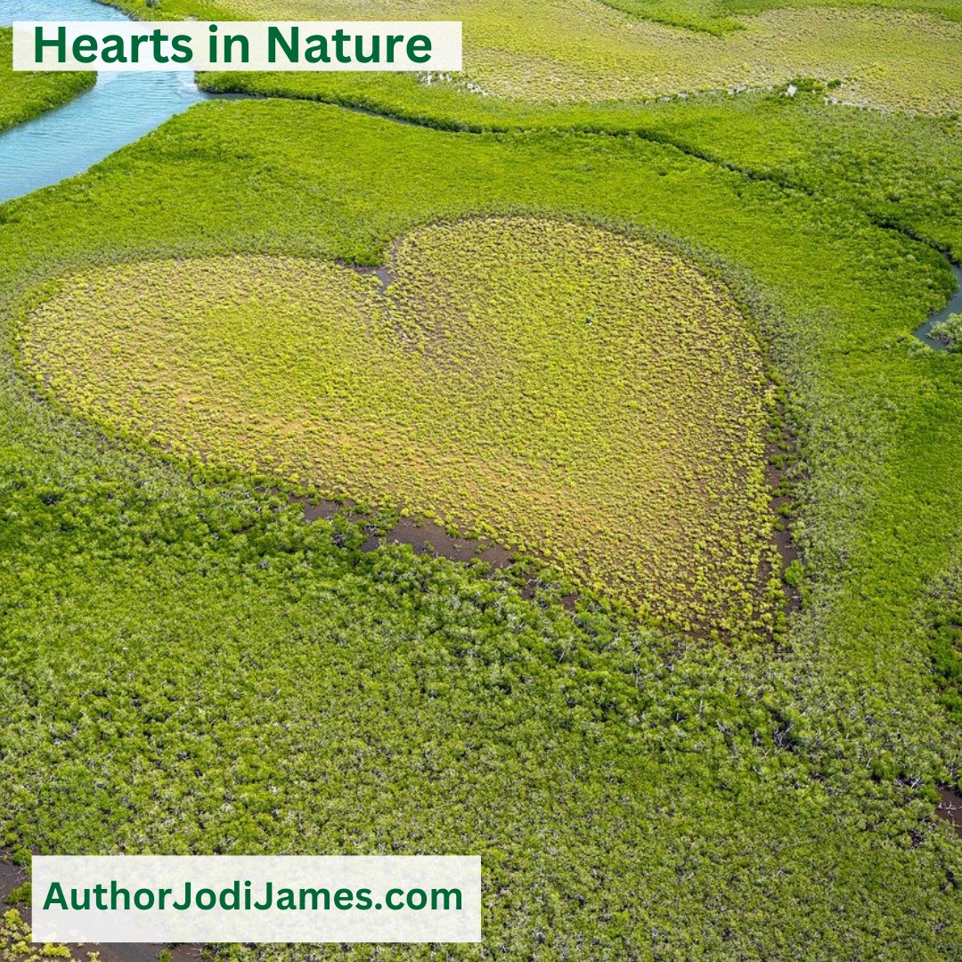#Hearts in #Nature Series 27
AuthorJodiJames.com
#heart #romance #RomanceBooks #Relationships #embrace #Love #Romantic