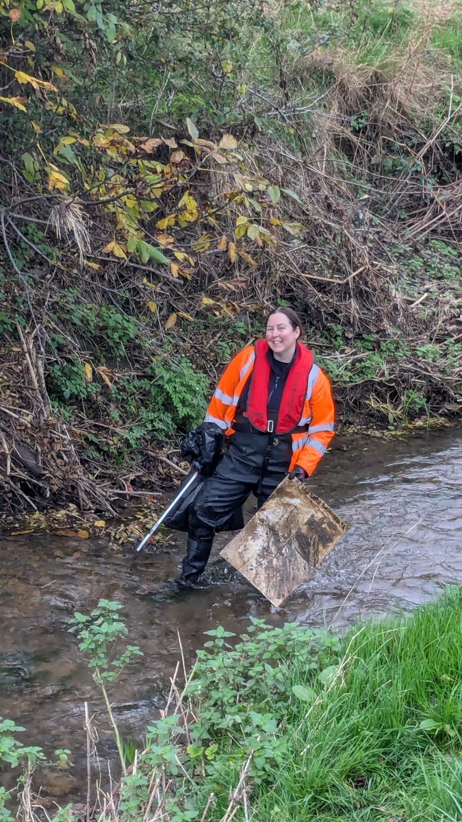 Alisdair Naulls tweet media