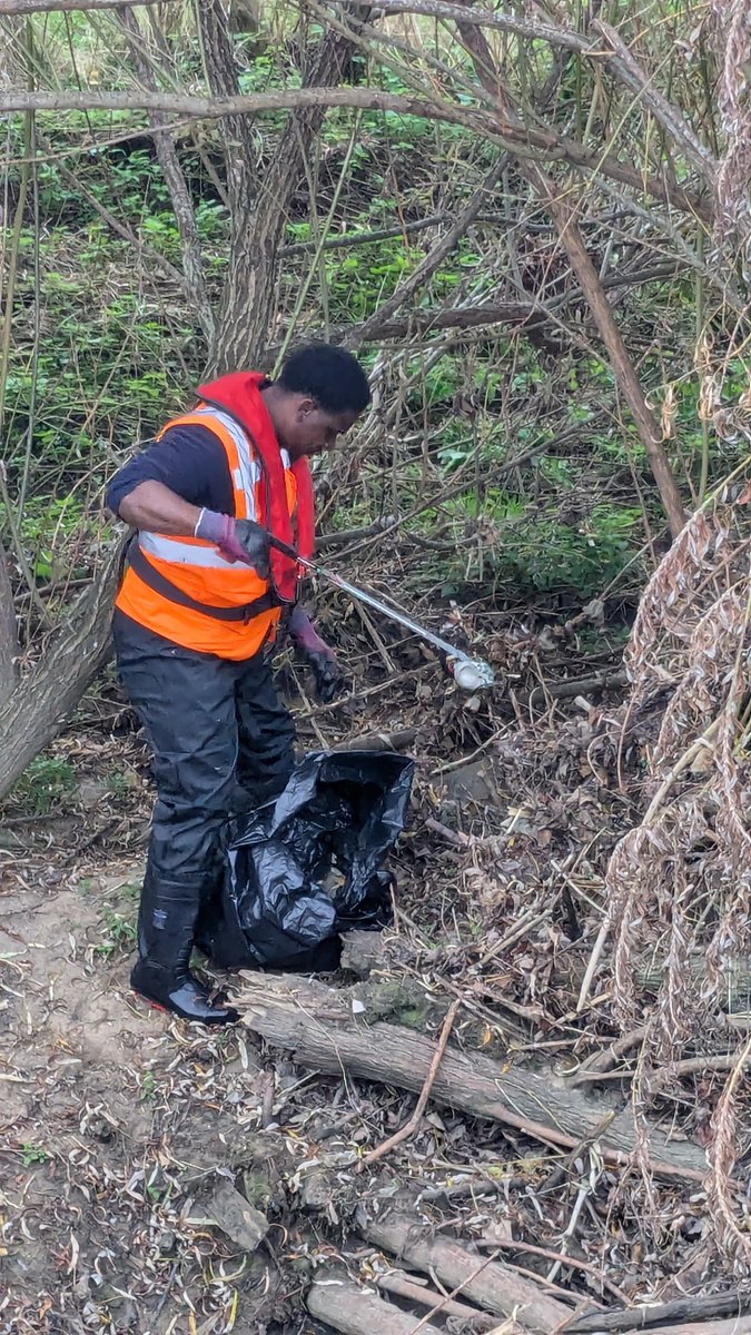 Alisdair Naulls tweet media