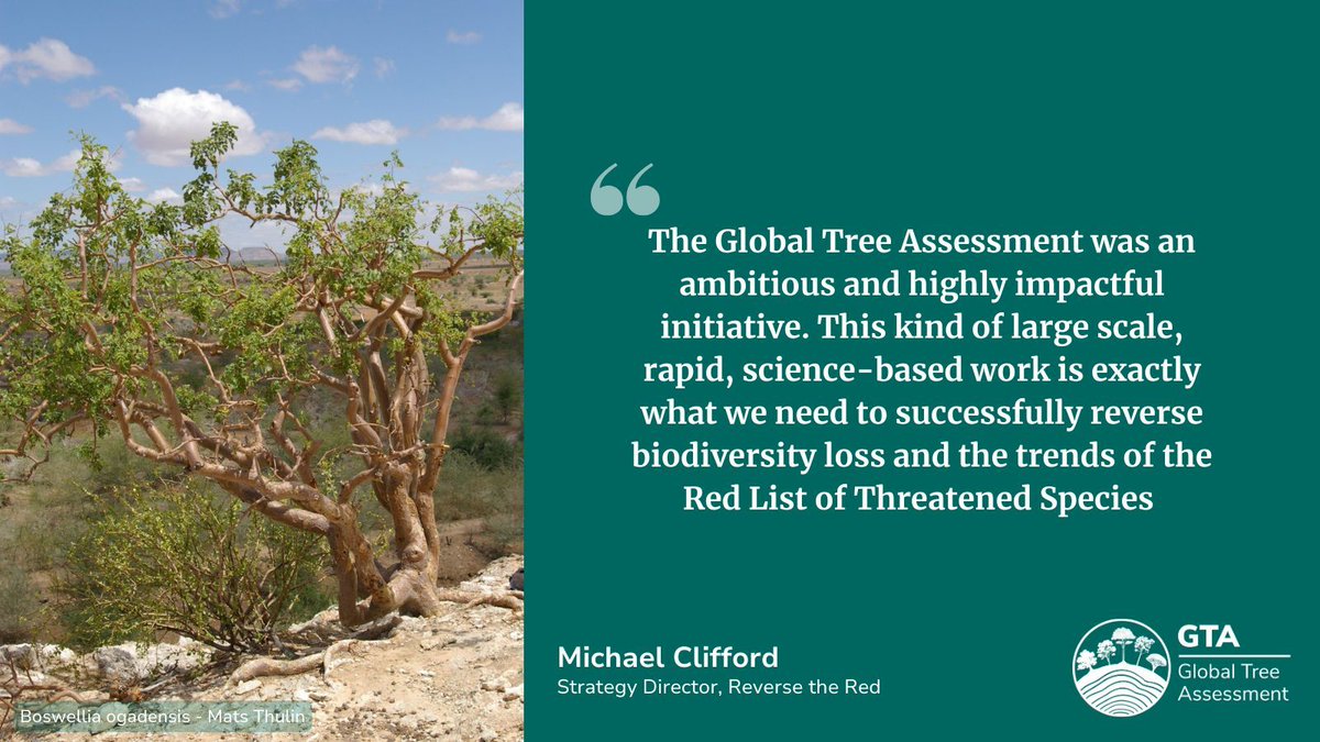 GlobalTreeAssessment (@gta_gtsg) on Twitter photo Our final quote is from <a href="/ReversetheRed1/">Reverse the Red</a> Strategy Director Mike Clifford. @BGCI is a partner of Reverse the Red working together to ensure the survival of wild species and reverse the negative trend of biodiversity loss.
buff.ly/4hzpwIr Our final quote is from <a href="/ReversetheRed1/">Reverse the Red</a> Strategy Director Mike Clifford. @BGCI is a partner of Reverse the Red working together to ensure the survival of wild species and reverse the negative trend of biodiversity loss.
buff.ly/4hzpwIr