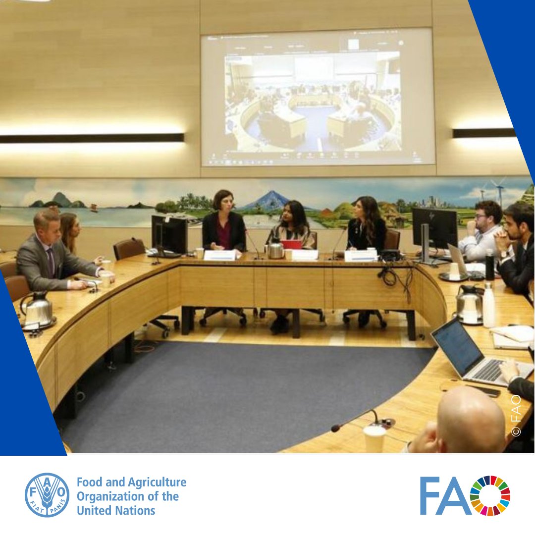 FAO in North America tweet media