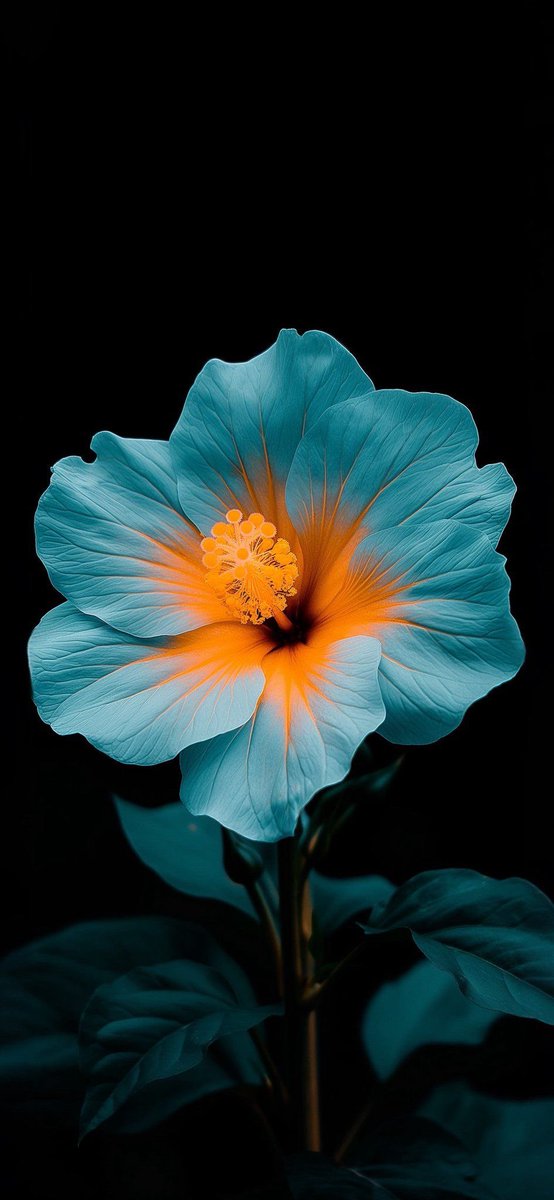 joinneira_'s tweet photo. @Carlos_Vassan Mis fav les comparto https://t.co/GzxzuFEdkT