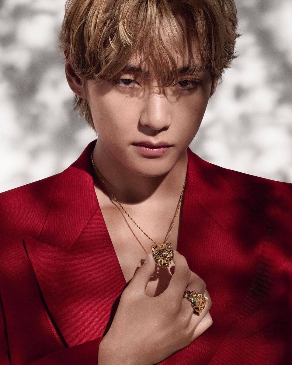 ianstae's tweet photo. @layovermoods I'm voting #v for #2024MAMAVote https://t.co/oK3wMNqbNQ