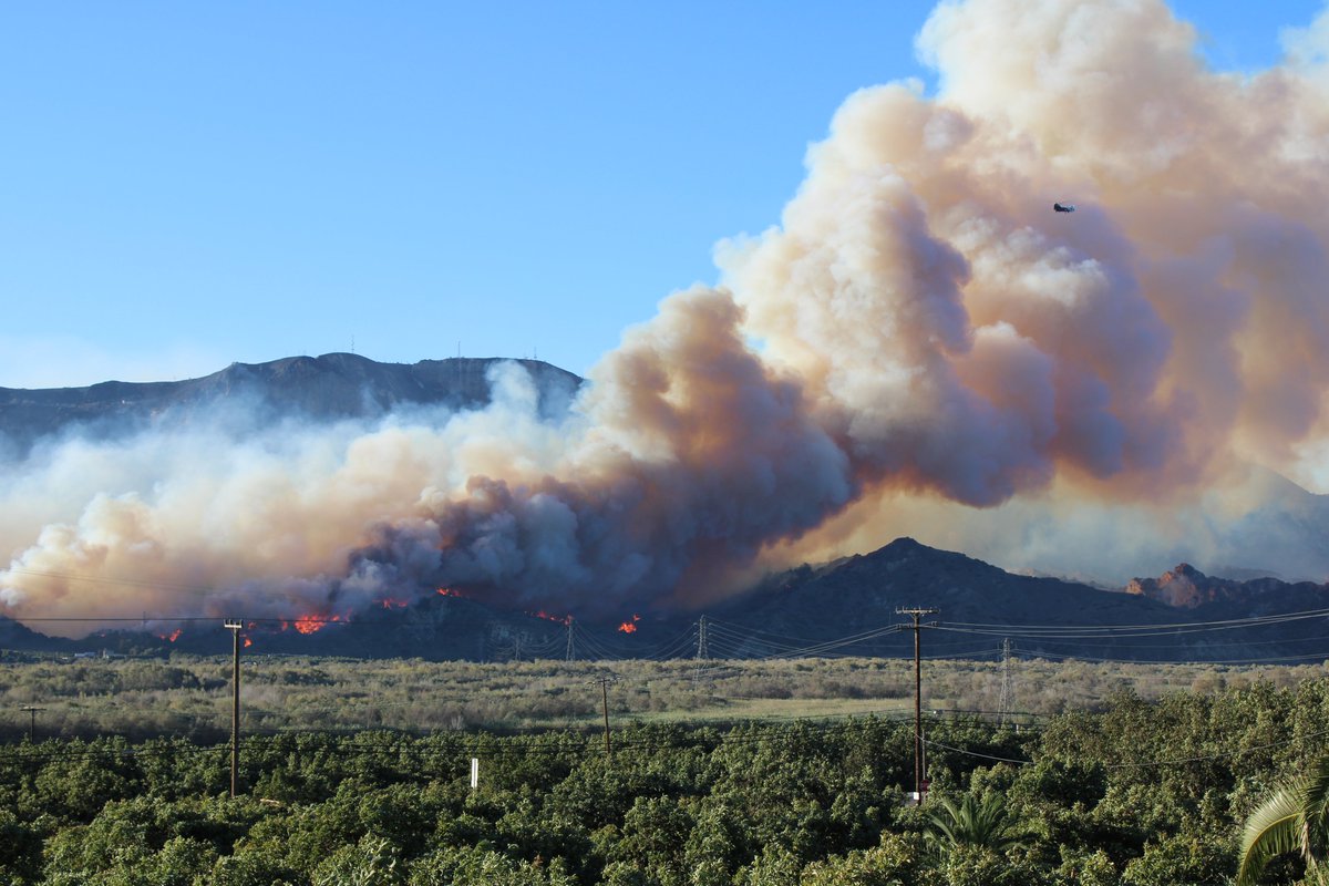 Chris Sayer 🥑 tweet media