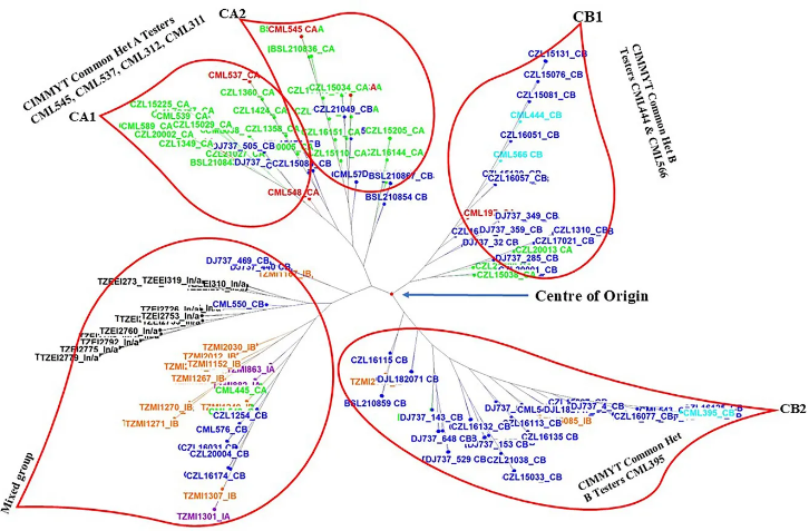 crop_science's tweet photo. Analysis of 187 elite maize lines from IITA & CIMMYT reveals untapped genetic diversity & potential for improved hybrid breeding.
https://t.co/VTabsEOT78
#MaizeResearch #HighYieldingHybrids #OpenAccess https://t.co/cEFIgKGHzl