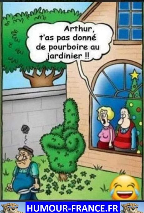 text alternatif