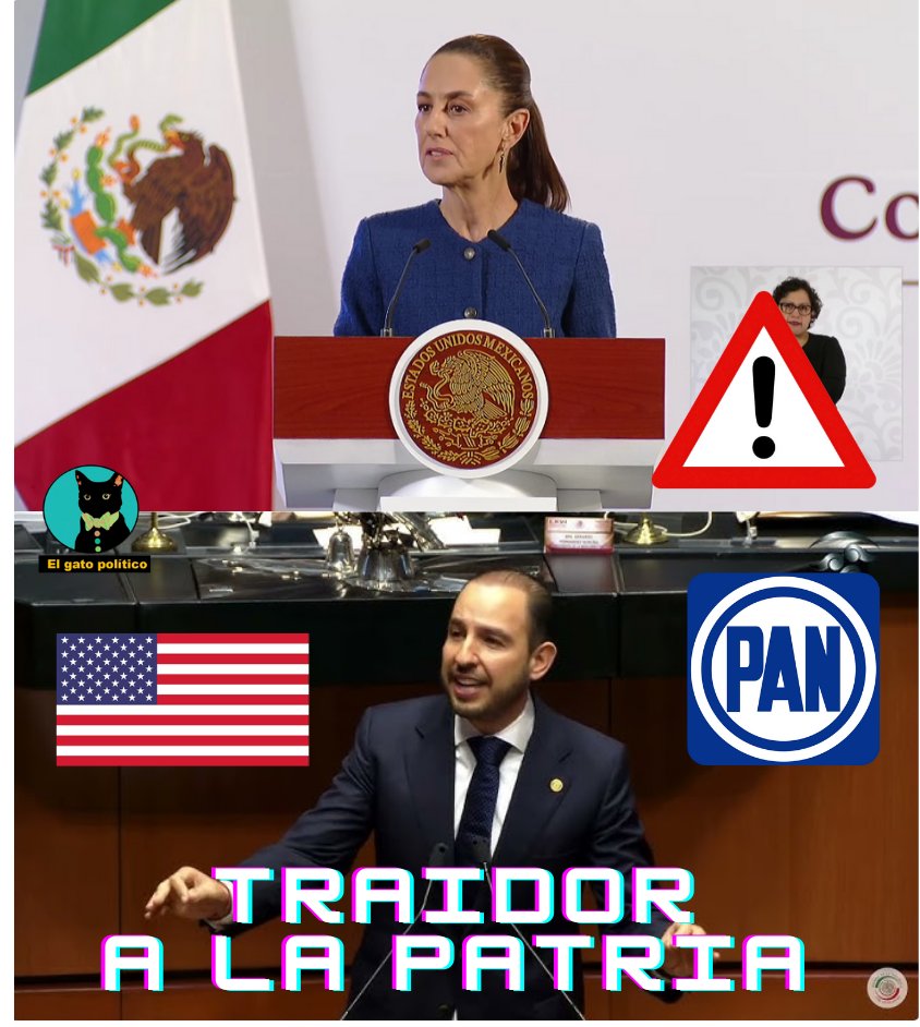 El gato político tweet media