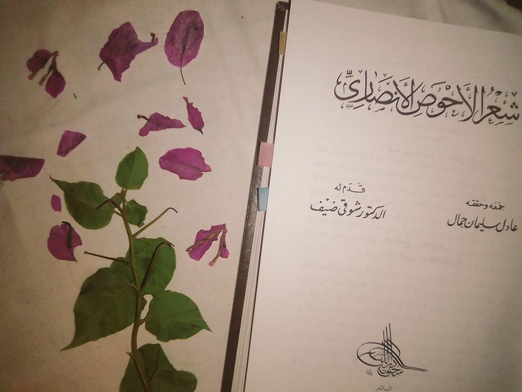 لقَد سَـلا كُلُّ صَبٍّ أَو قَضَى وَطَرا
وَما سلــوتُ وَما قَضَّيتُ أَوطارِي

أَضمَرتُ ذاكَ زمـــاناً ثُمَّ بُحتُ بـه
فـــزادَني سقماً بوحي وَإِضـمارِي

أَخفَيت في العُرفِ هذا النُّكرَ ذَلِكُمُ
فَصرّحَ الوَجدُ عَن عُرفي وَإِنكارِي

الأحوص الأنصاري