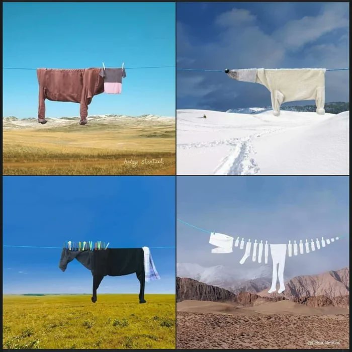 Laundry art

[📸 Helga Stentzel]