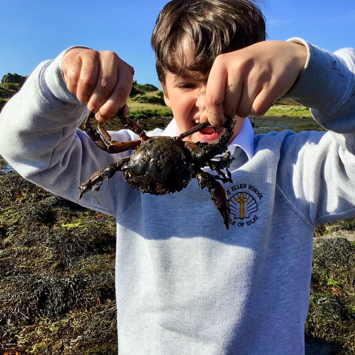 Argyll and Bute Council Education Service tweet media