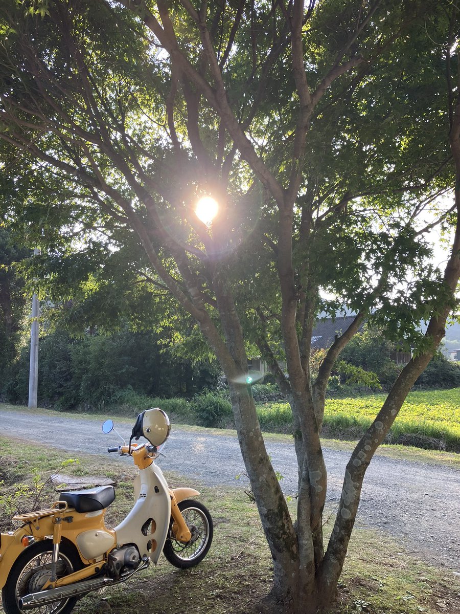 0709manap's tweet photo. 熊本の田舎にある小さな町が大好きだ https://t.co/BtLyrjlTjH
