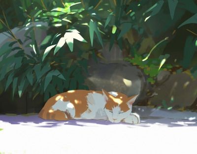 Meow_77 tweet media