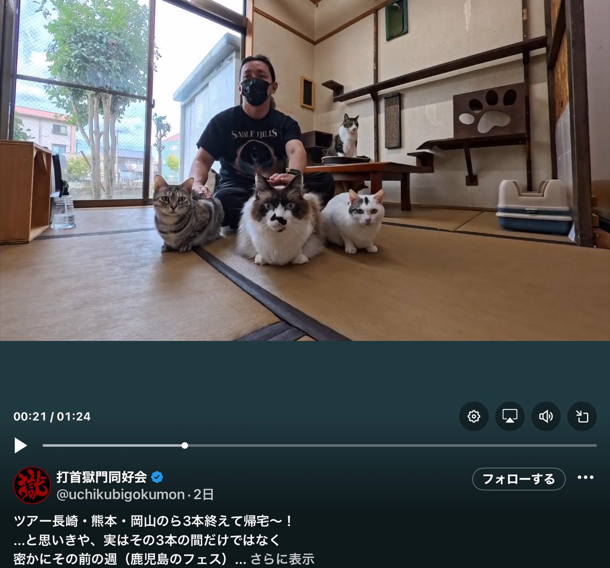 打首獄門同好会 会長様 猫の惑星の歌初めて聴いた時は本当に 猫好きな