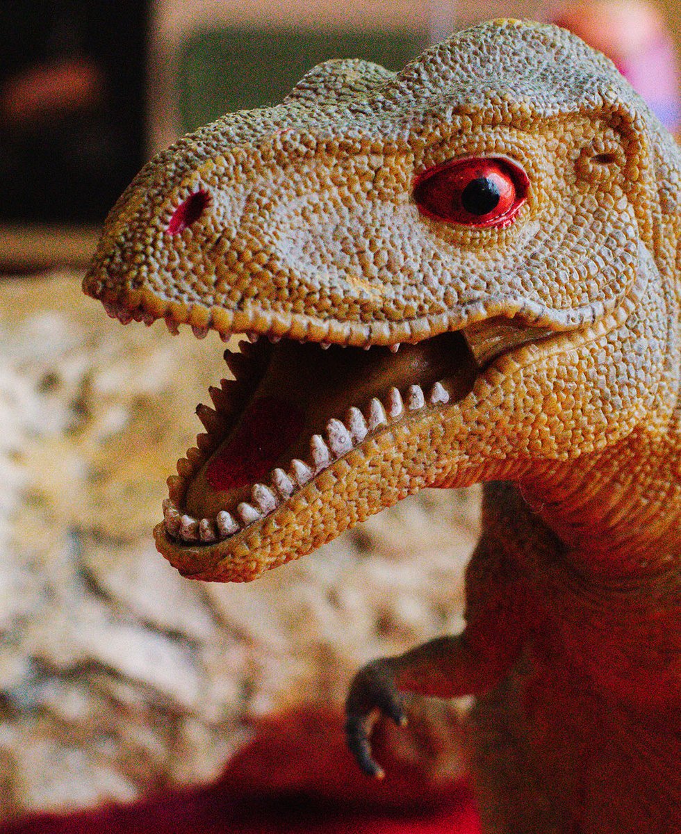 Dr. Adiel Klompmaker @paleoadiel.bsky.social tweet media