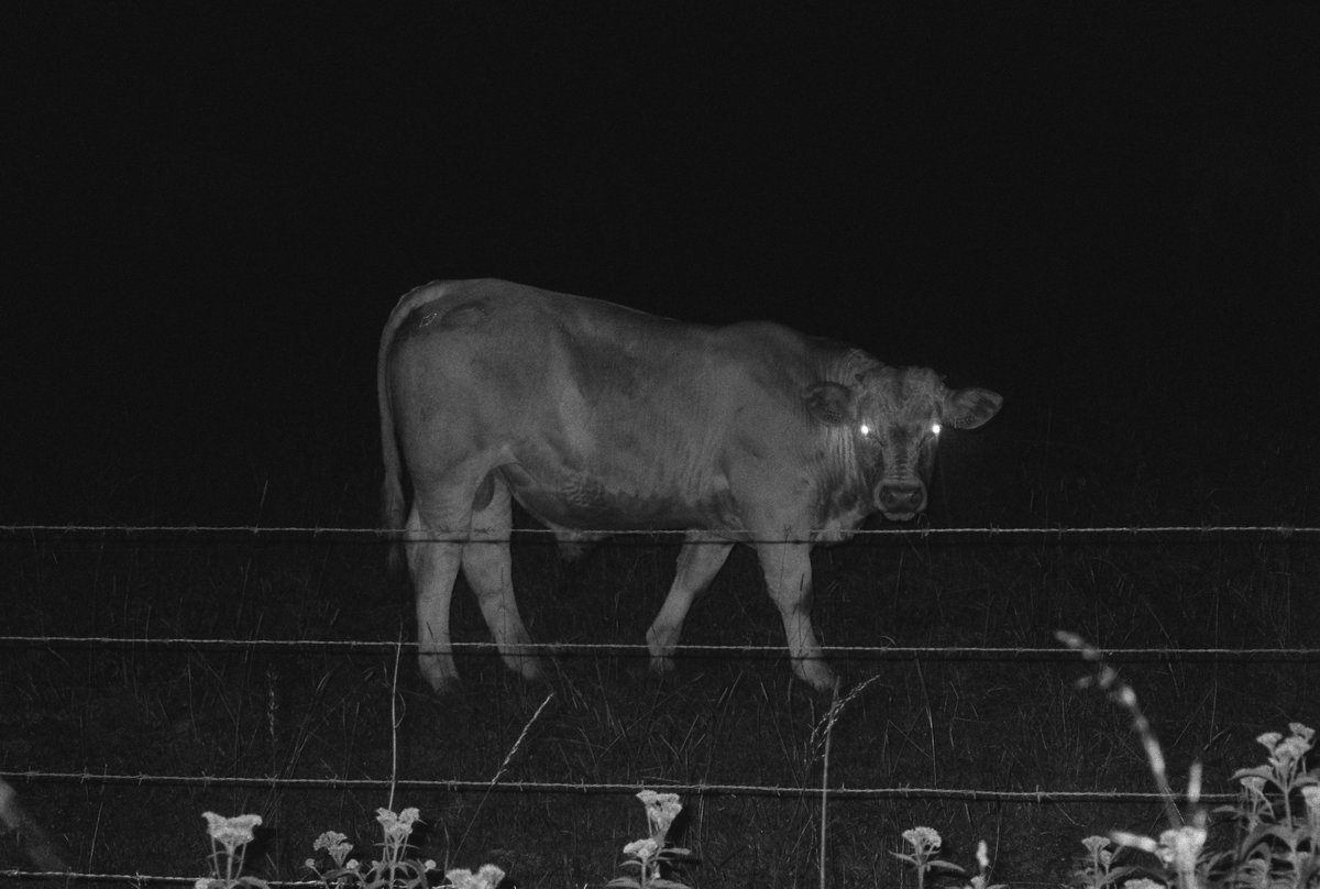 Sou (sad sad version) tweet media