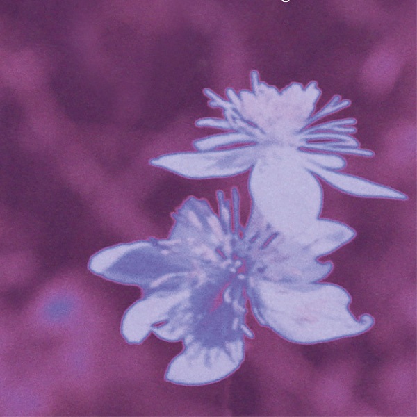 CdE_Paris's tweet image. 🎥
jeudi, 7 novembre à 18h30
Projection en présence du réalisateur Oskar Alegria du documentaire : Zinzindurrunkarratz

Présentation par Tiffany Tavernier, écrivaine et scénariste.

@MoisDuDoc
@ciup_fr
@ResidentsColEsp

#moisdudoc #FCEN #docu