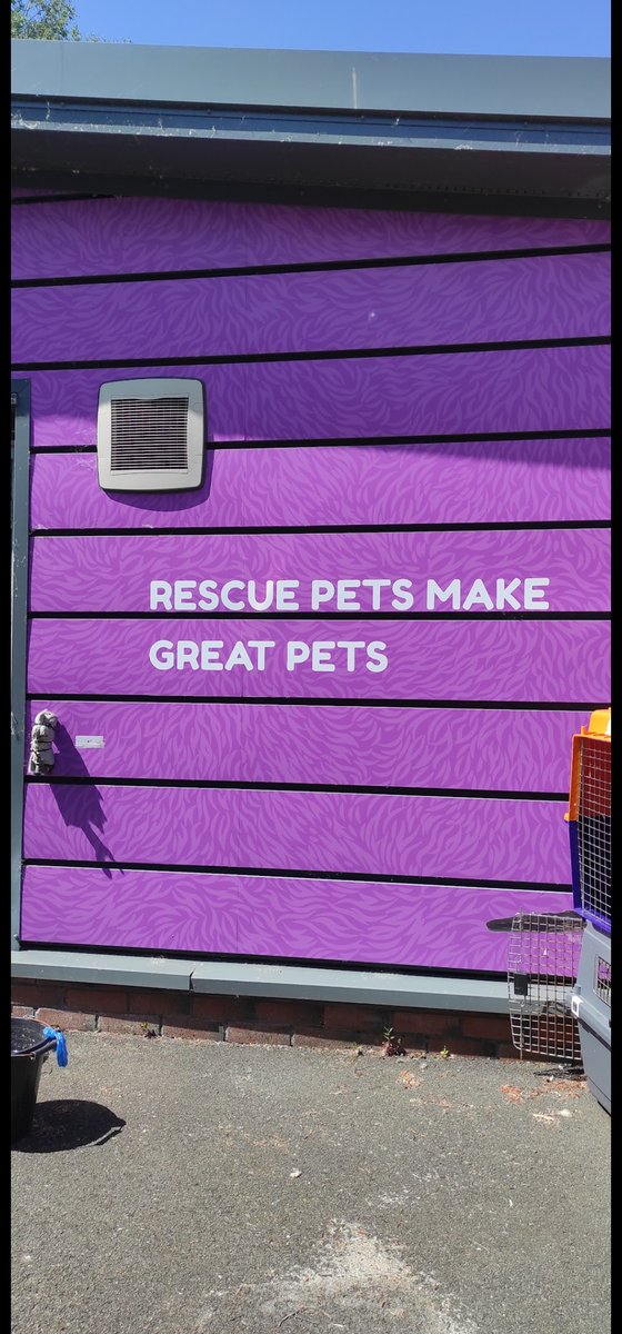 #ADRSOT support to develop vocational roles with linking up to local rescue shelter

#OccupationalTherapy 
#OTWeek24