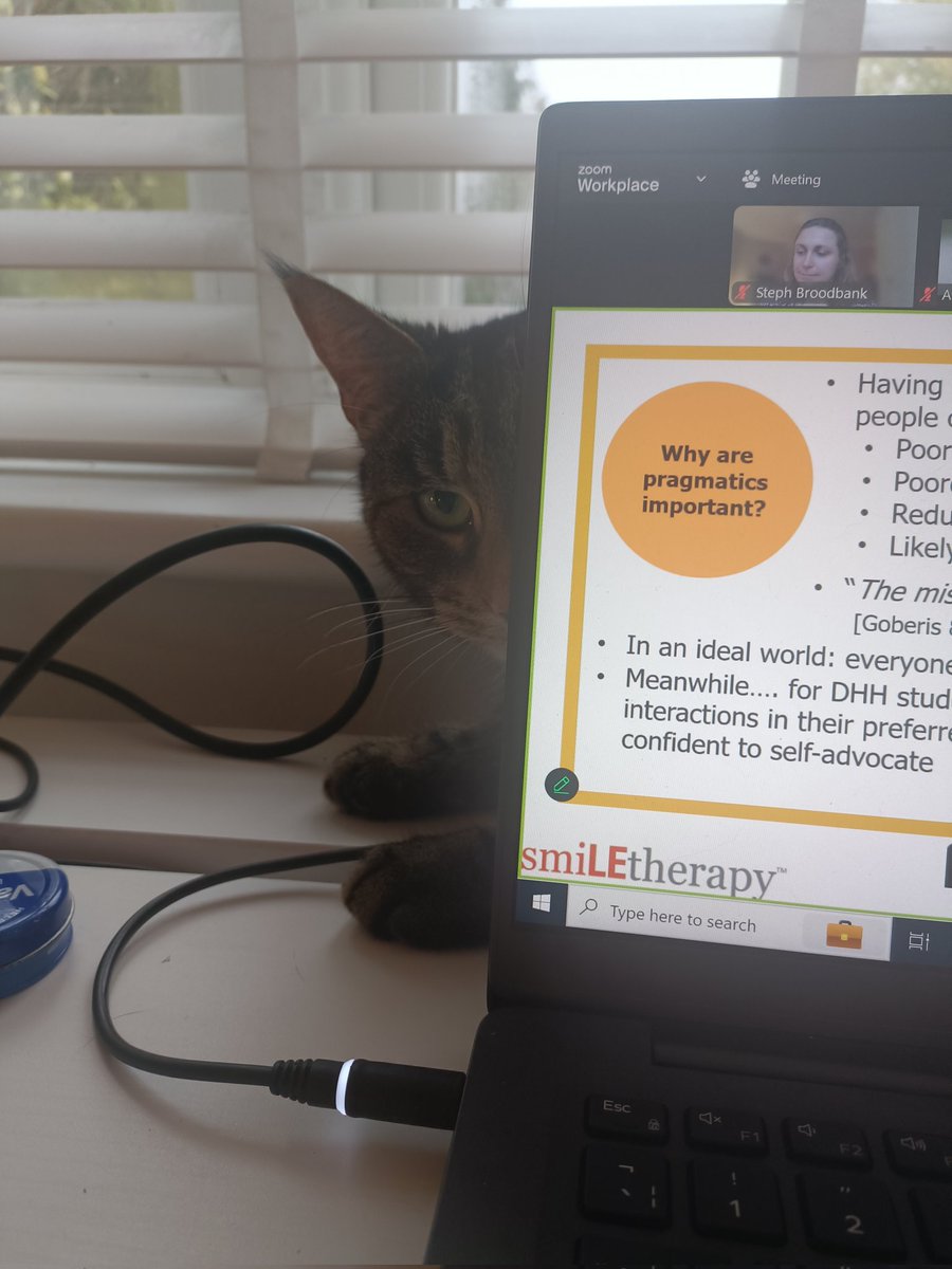 StephBroody's tweet photo. Not sure Mabel got a ticket for @CENSEDeafness but she is very intrigued by @smiletweetsuk ! 😺 
Great to have @KarinSchamroth 
#slt #deafness #rcslt https://t.co/gaPNYazybk