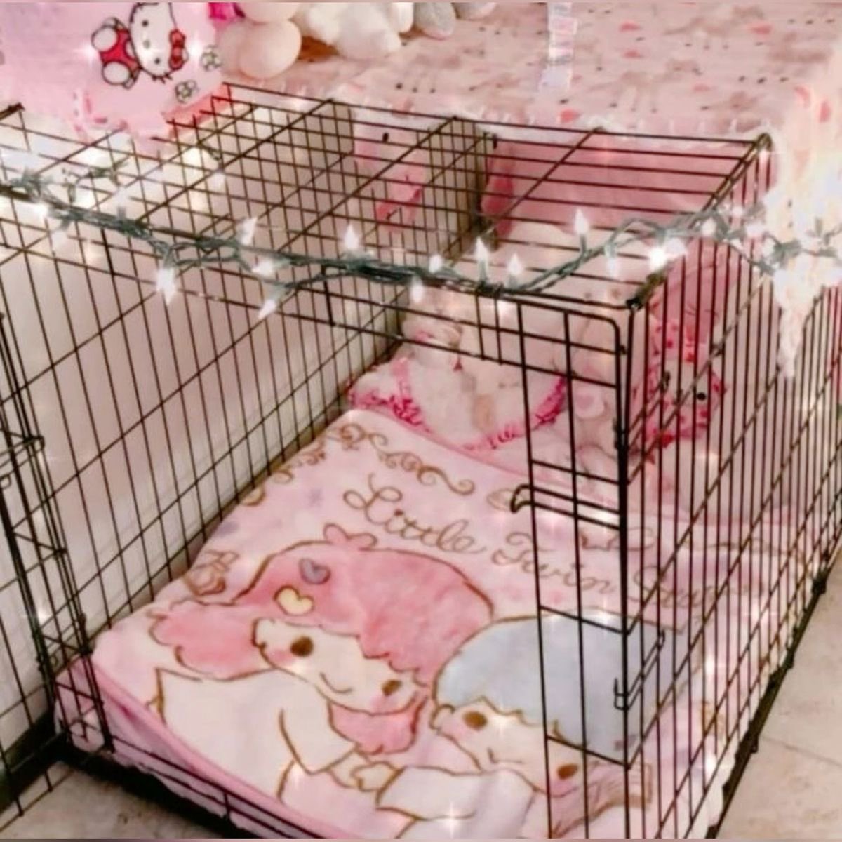 vibrantgrape's tweet photo. mi want a crate so bad !!! https://t.co/Q1j2gHfzK2