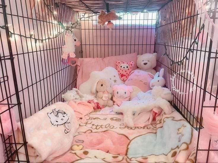 vibrantgrape's tweet photo. mi want a crate so bad !!! https://t.co/Q1j2gHfzK2