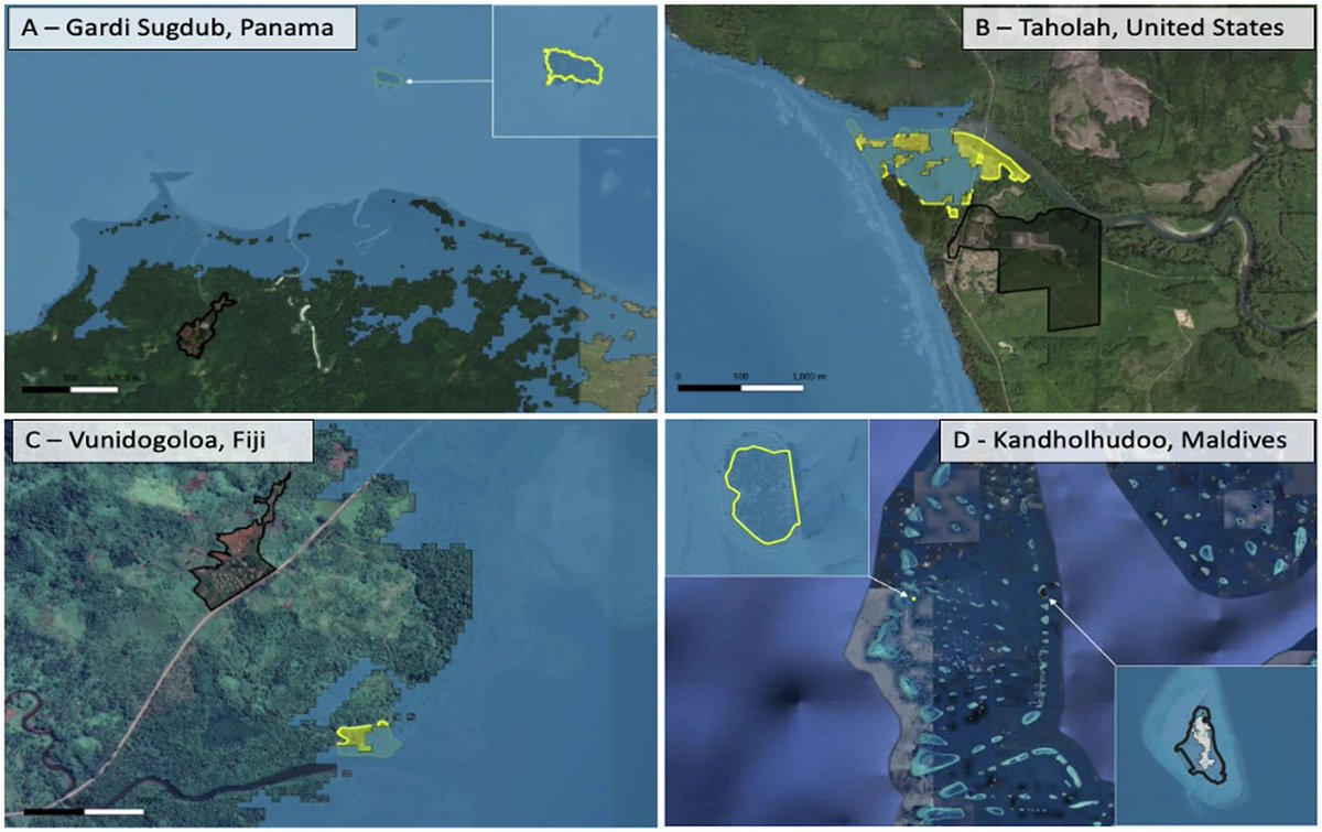 Communications Earth & Environment tweet media