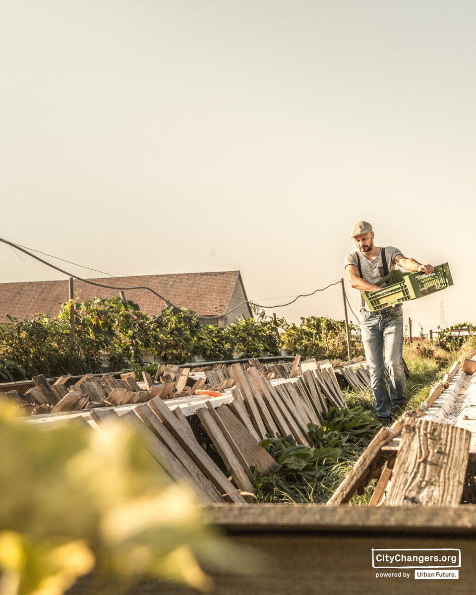 Urban Future. tweet media