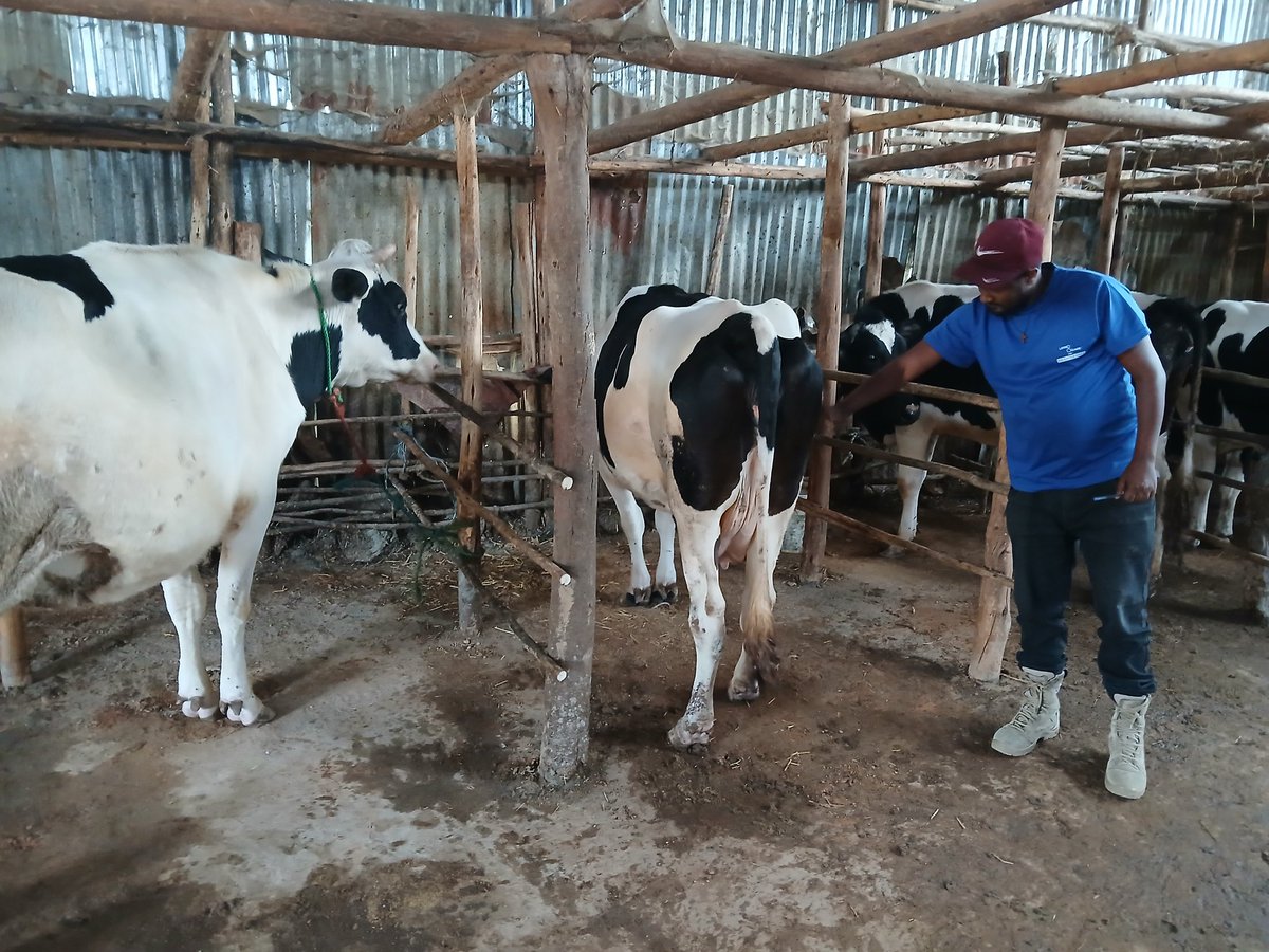 FSSA_Eskender's tweet photo. Working hard for food secured Ethiopia , Africa https://t.co/UynNOmuVw5