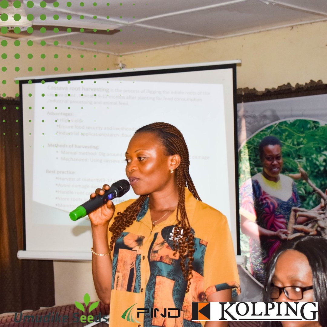 CARA foundation focuswd on Post-harvest handling of cassava stem and roots which are keys to maximizing cassava’s potential! From proper stem storage for future planting to diverse products from the roots like flour, starch, chips, and more, each step adds value and boost income.