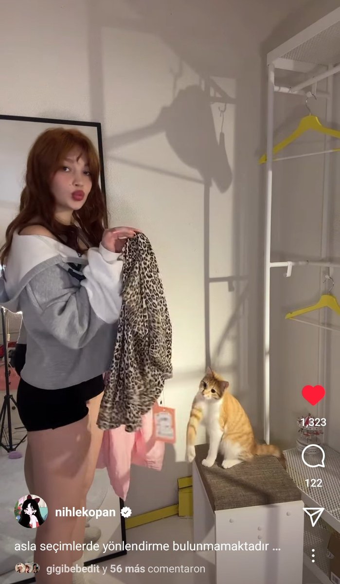 Lili es más que una gatita es su hija, su amiga, su compañera está en todo con mi reina Nihke eligiendo el oufit las amo #NihleKopan