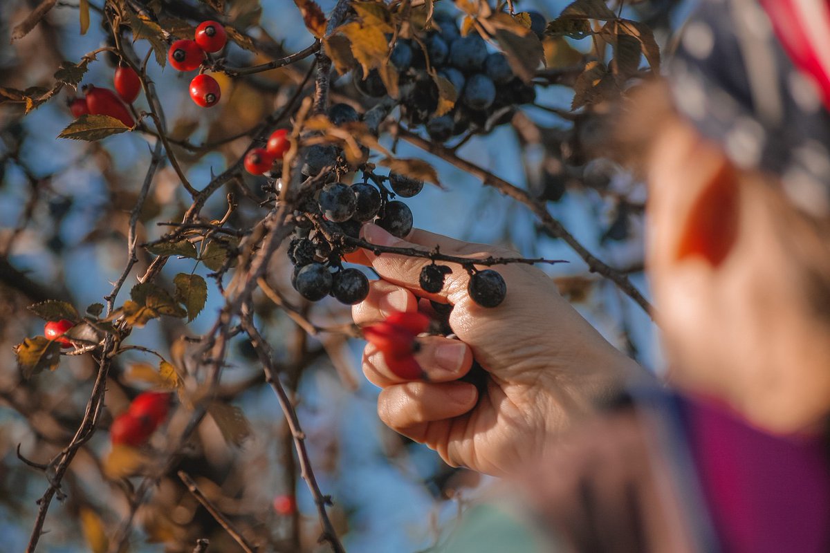 🤩¡Estrenamos segunda temporada!|  Podcast #Ruta2030 <a href="/sdsnchile/">SDSN Chile</a>

Capítulo: ¿Ruralidad sustentable? Desafíos de inequidad y cambio climático📌

Conversemos junto a los especialistas Rodrigo Yáñez de <a href="/Rimisp/">Rimisp</a> y Denise Misleh de <a href="/geografia_uc/">Instituto de Geografía UC</a>

🎧 Escucha aquí: open.spotify.com/episode/2cFMy9…