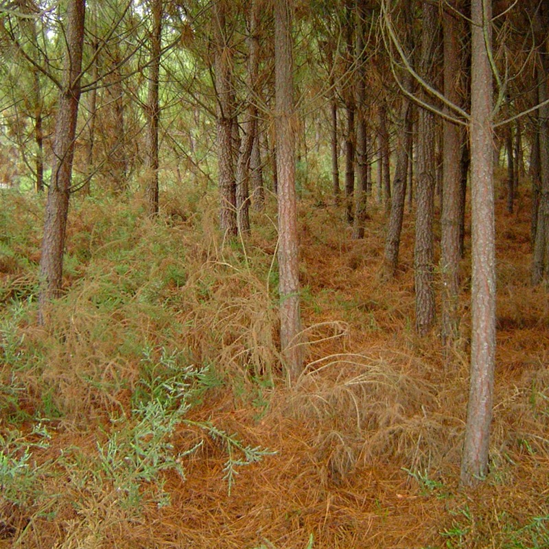 unileon_ponferrada tweet media