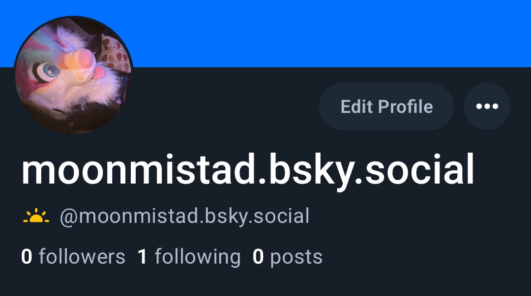 Moon Moist 🔞 tweet media