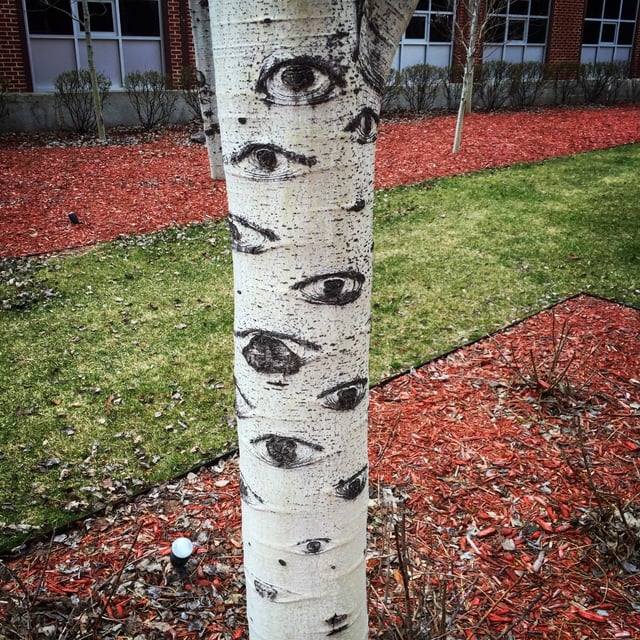 tenpinchameleon tweet media