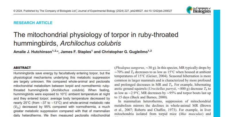 Journal of Experimental Biology (@j_exp_biol) on Twitter photo read the full research by <a href="/Amalie_JHutch/">Amalie Hutchinson</a> & co
journals.biologists.com/jeb/article/22… read the full research by <a href="/Amalie_JHutch/">Amalie Hutchinson</a> & co
journals.biologists.com/jeb/article/22…