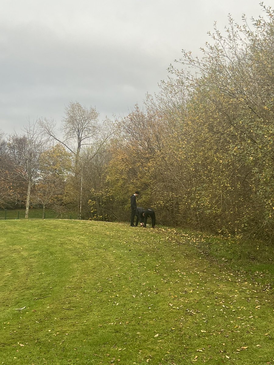 SASB_SCIENCE's tweet image. Biology 4D set some very well camouflaged pitfall traps this afternoon 🕷️🐛🐜🪲 @sasbhighschool