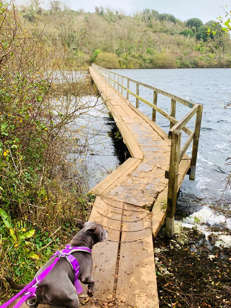 Isa Mary tweet media