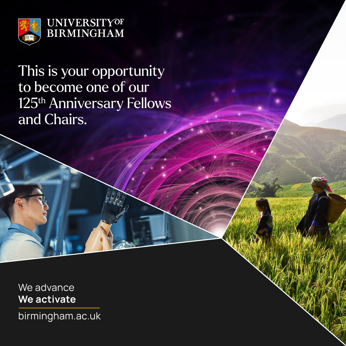 Join our world-class research community, with our exciting 125th Anniversary Fellows and Chairs. To mark the occasion, we are accepting applications from global talent across many disciplines.

Find out about our priority research areas below or visit fellowsandchairs.birmingham.ac.uk