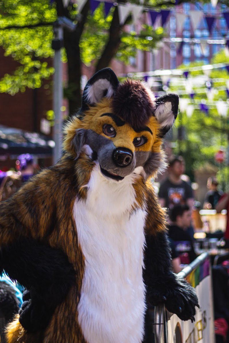 Aspen_Husky's tweet image. Hey everyone, I'm helping @OatmealDonk sell one of his suits, scout the coyote!
Please see the first image for details and feel free to message me if interested 💖